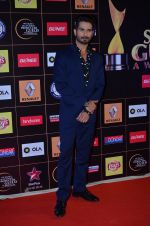 Shahid Kapoor at Producers Guild Awards 2015 in Mumbai on 11th Jan 2015